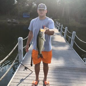 Meet your Posher, Tanner